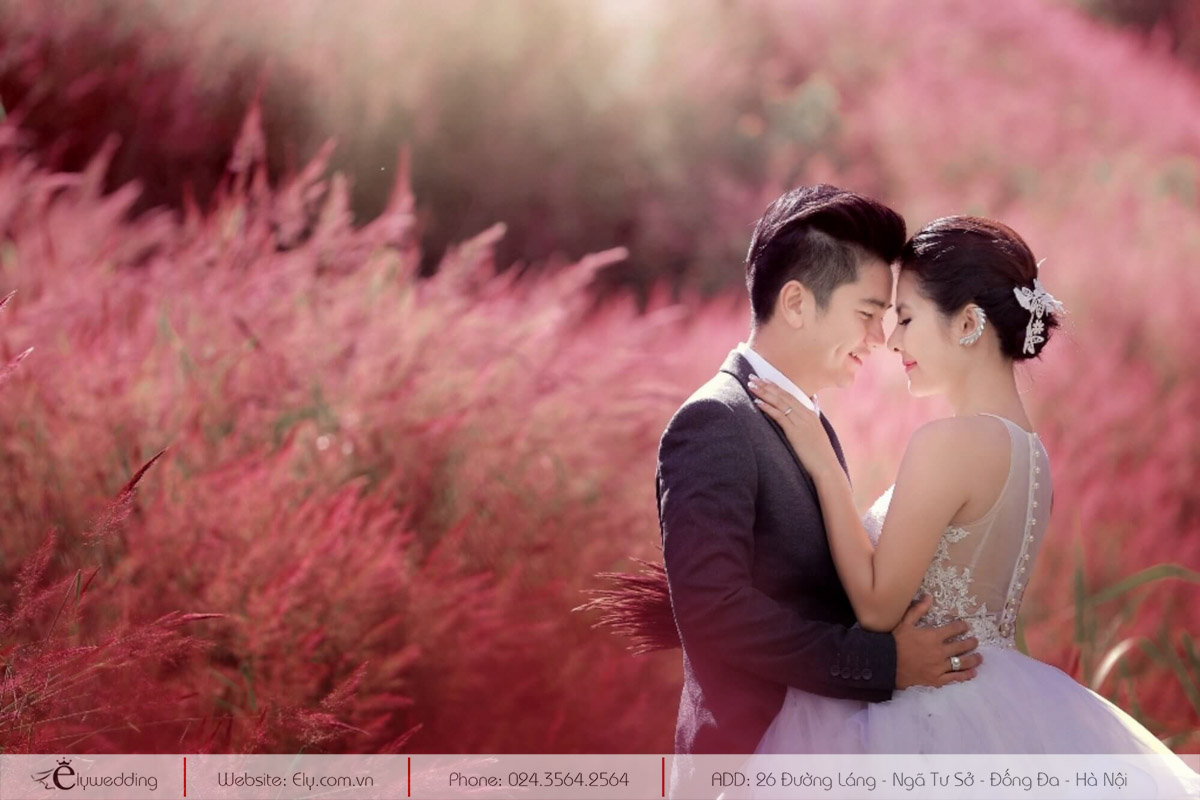 Chụp Ảnh Cưới Đà Lạt: Concept, Địa Điểm, Studio Bạn Nên Biết